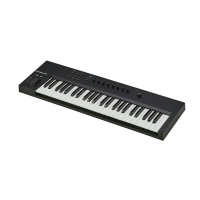 Native Instruments Komplete Kontrol A49
