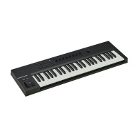 Native Instruments Komplete Kontrol A49