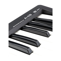 Roland A-49