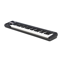 Roland A-49